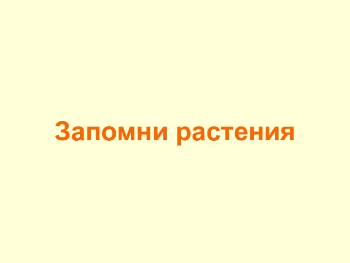 Запомни растения