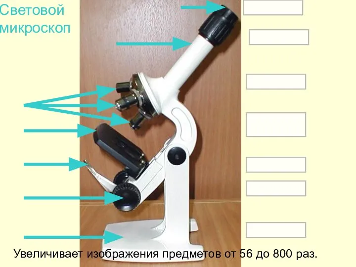 Световой микроскоп Увеличивает изображения предметов от 56 до 800 раз. окуляр тубус