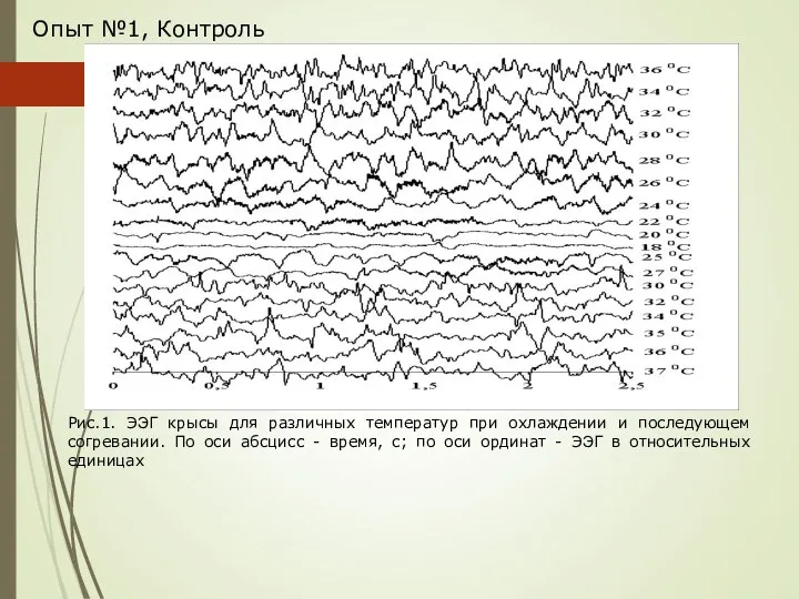 Опыт №1, Контроль Рис.1. ЭЭГ крысы для различных температур при охлаждении и