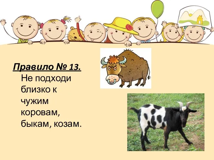 Правило № 13. Не подходи близко к чужим коровам, быкам, козам.