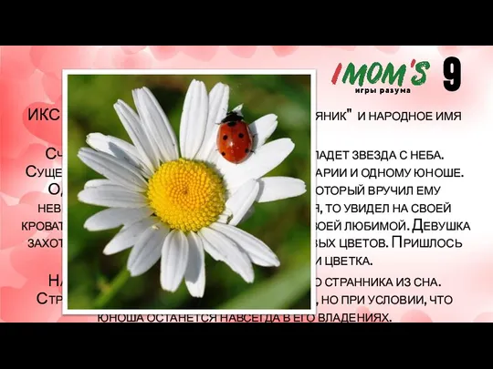 ИКС имеет русское научное название "нивяник" и народное имя "стоцвет". Считается, что