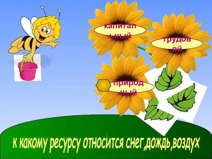 к какому ресурсу относится снег,дождь,воздух природный капитальный трудовой