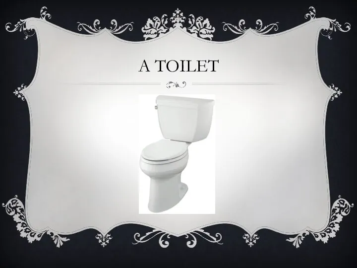 A TOILET