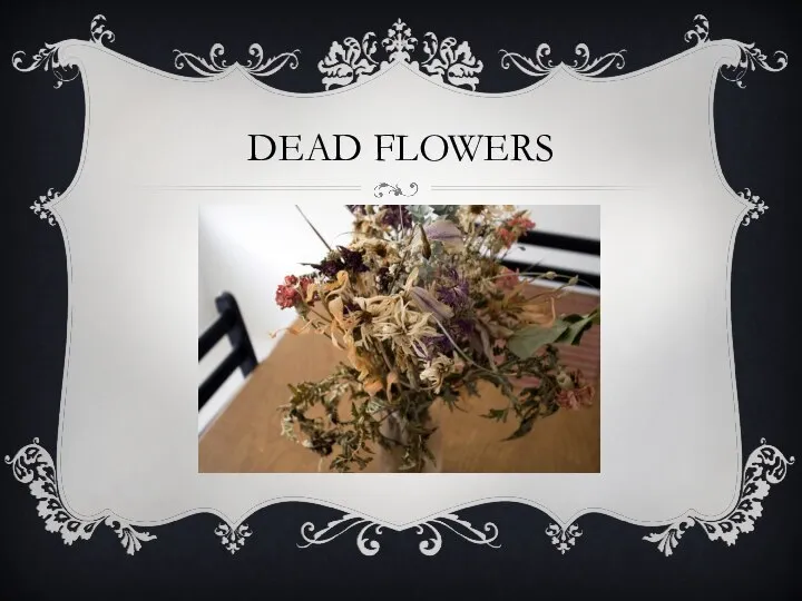 DEAD FLOWERS