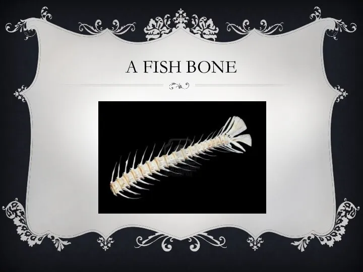 A FISH BONE