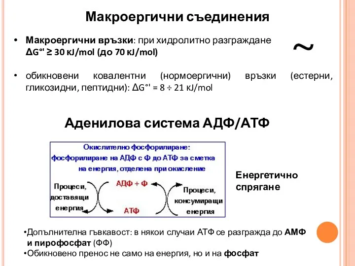 Макроергични съединения Макроергични връзки: при хидролитно разграждане ΔG°' ≥ 30 кJ/mol (до