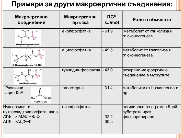 Примери за други макроергични съединения: