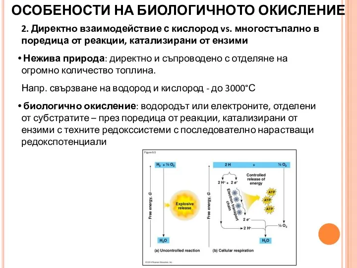 2. Директно взаимодействие с кислород vs. многостъпално в поредица от реакции, катализирани