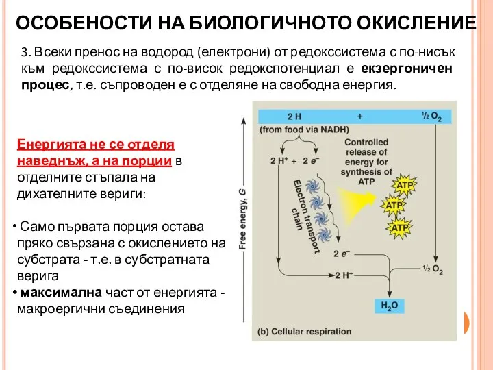 3. Всеки пренос на водород (електрони) от редокссистема с по-нисък към редокссистема