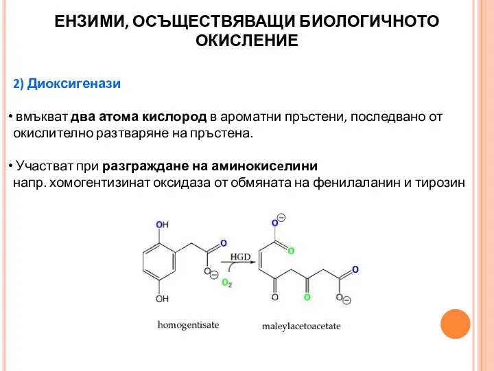 2) Диоксигенази вмъкват два атома кислород в ароматни пръстени, последвано от окислително