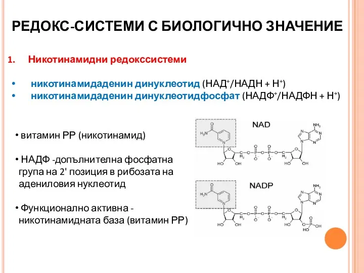 РЕДОКС-СИСТЕМИ С БИОЛОГИЧНО ЗНАЧЕНИЕ Никотинамидни редокссистеми никотинамидаденин динуклеотид (НАД+/НАДН + Н+) никотинамидаденин