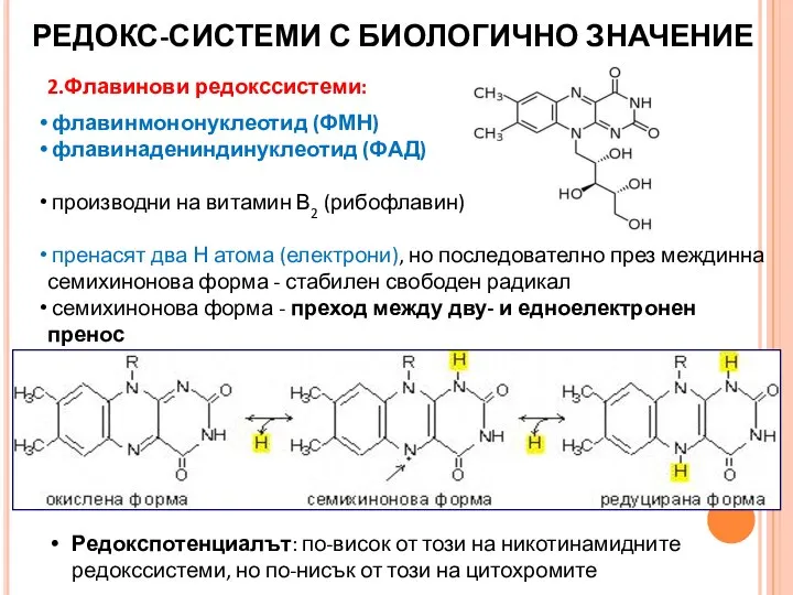 2.Флавинови редокссистеми: флавинмононуклеотид (ФМН) флавинадениндинуклеотид (ФАД) производни на витамин В2 (рибофлавин) пренасят