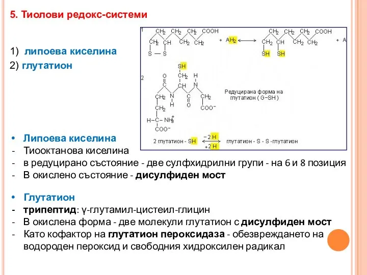 5. Тиолови редокс-системи 1) липоева киселина 2) глутатион Липоева киселина Тиооктанова киселина