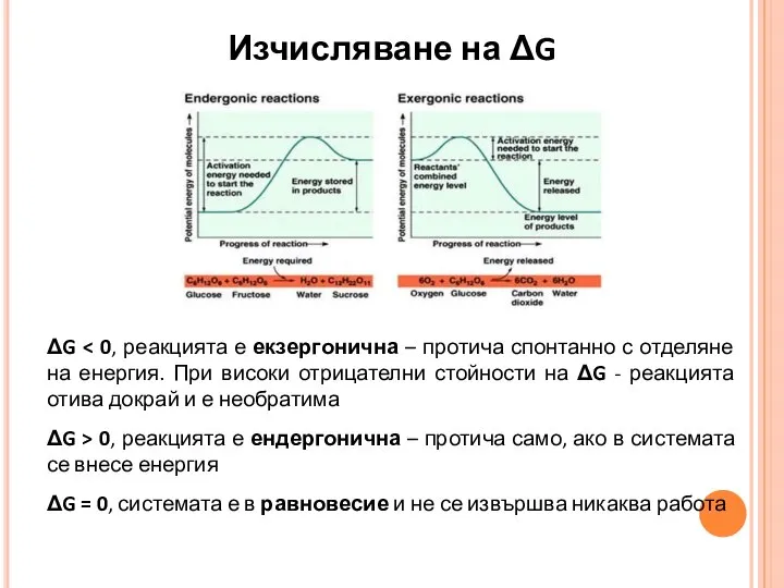 Изчисляване на ΔG ΔG ΔG > 0, реакцията е ендергонична – протича