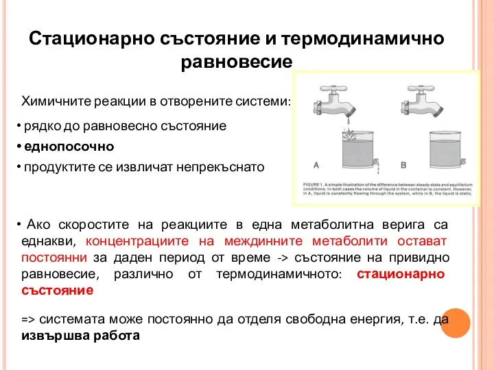 Стационарно състояние и термодинамично равновесие Химичните реакции в отворените системи: рядко до