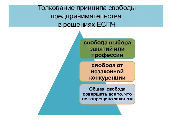 Толкование принципа свободы предпринимательства в решениях ЕСПЧ