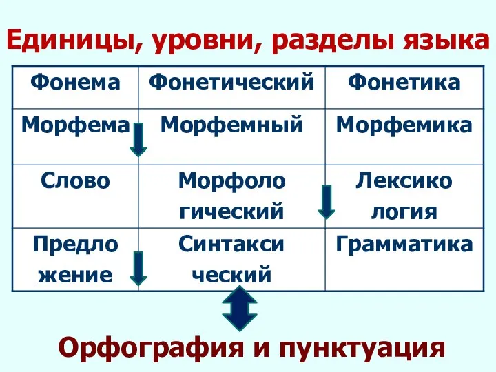 Единицы, уровни, разделы языка Орфография и пунктуация