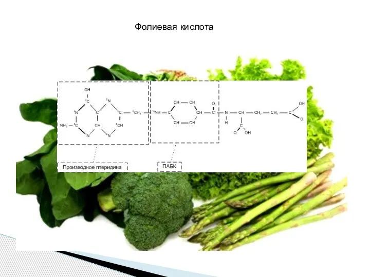 Фолиевая кислота