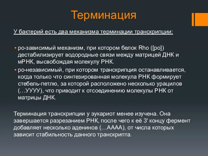 Терминация У бактерий есть два механизма терминации транскрипции: ро-зависимый механизм, при котором