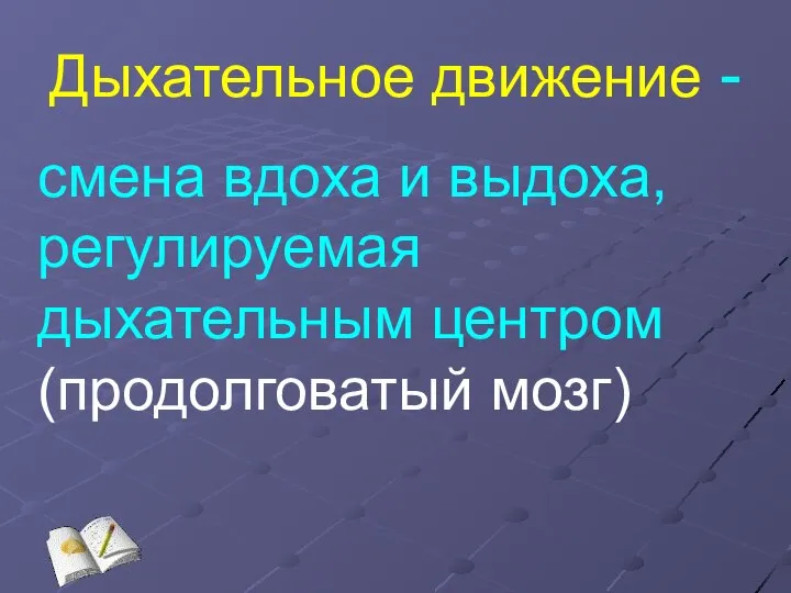 Дыхательное движение - смена вдоха и выдоха, регулируемая дыхательным центром (продолговатый мозг)