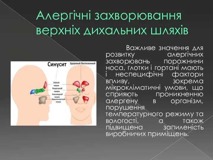 Алергічні захворювання верхніх дихальних шляхів Важливе значення для розвитку алергічних захворювань порожнини