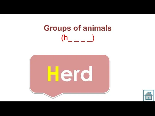 Groups of animals (h_ _ _ _) Herd