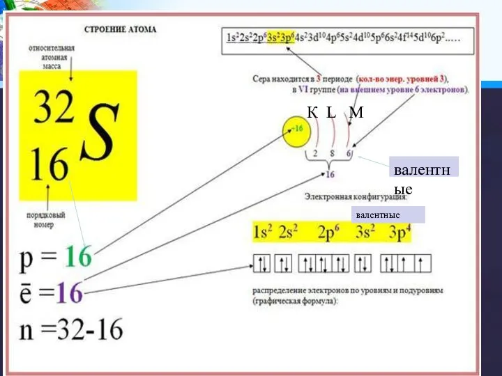 К L М валентные валентные