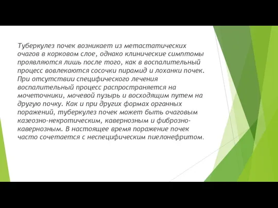 Туберкулез почек возникает из метастатических очагов в корковом слое, однако клинические симптомы