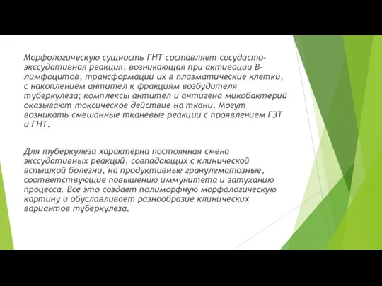 Морфологическую сущность ГНТ составляет сосудисто-экссудативная реакция, возникающая при активации В-лимфоцитов, трансформации их