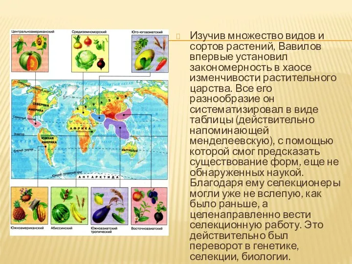 Изучив множество видов и сортов растений, Вавилов впервые установил закономерность в хаосе