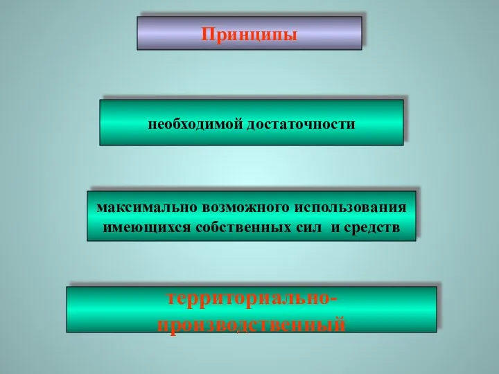 Принципы необходимой достаточности максимально возможного использования имеющихся собственных сил и средств территориально-производственный