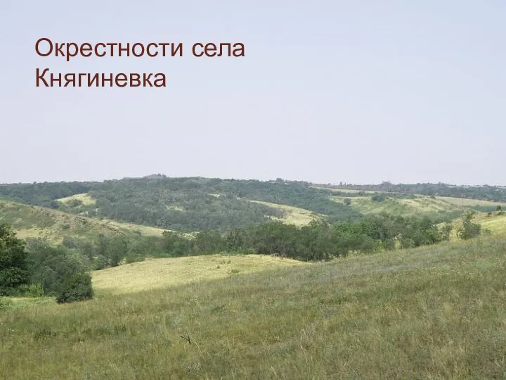 Окрестности села Княгиневка