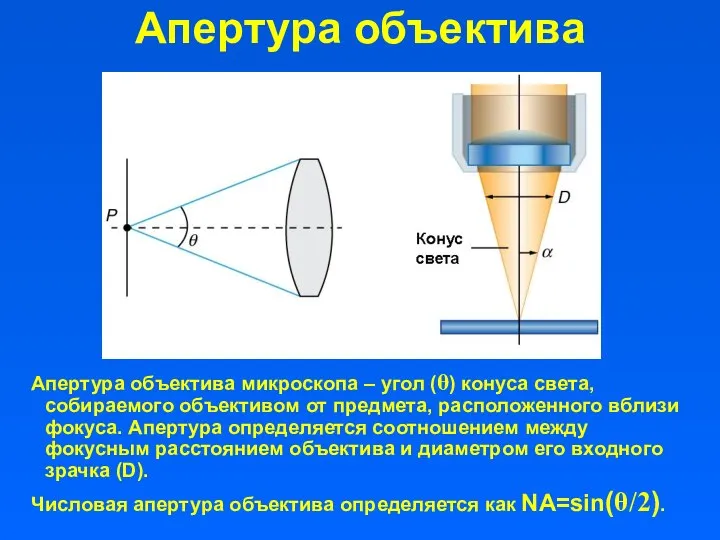 Апертура объектива Апертура объектива микроскопа – угол (θ) конуса света, собираемого объективом