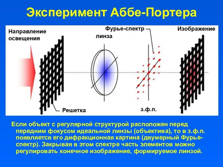 Эксперимент Аббе-Портера Если объект с регулярной структурой расположен перед передним фокусом идеальной