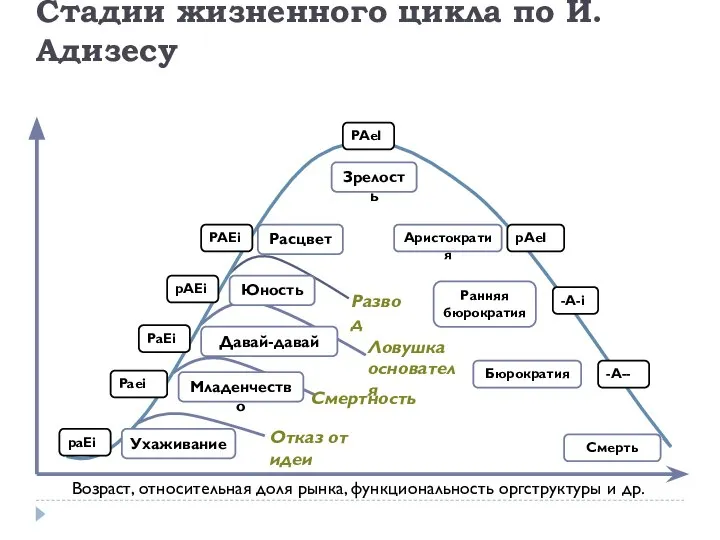 Стадии жизненного цикла по И.Адизесу Возраст, относительная доля рынка, функциональность оргструктуры и др.