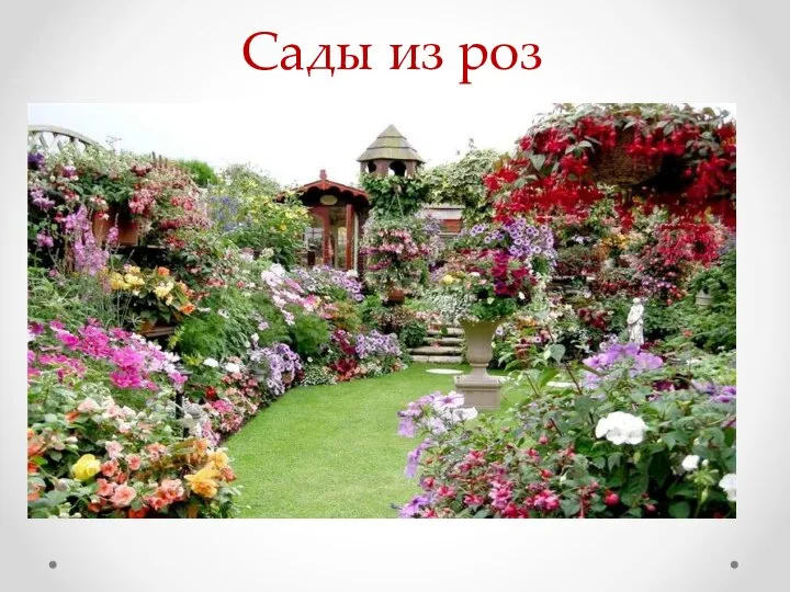 Сады из роз