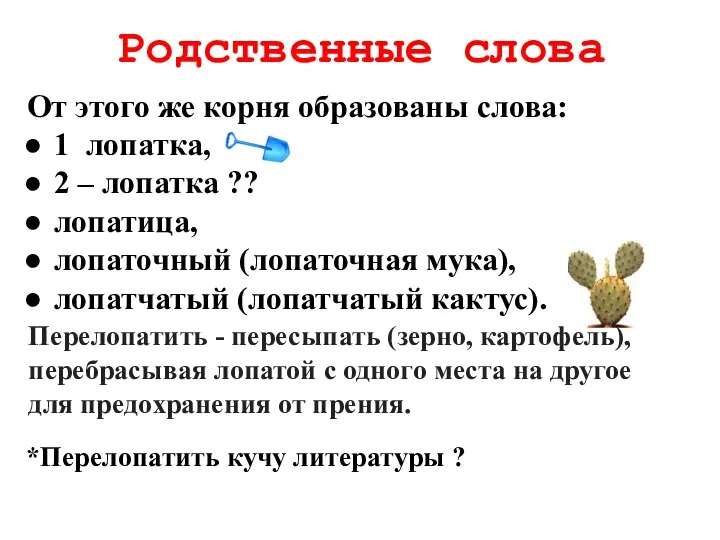 Родственные слова От этого же корня образованы слова: 1 лопатка, 2 –