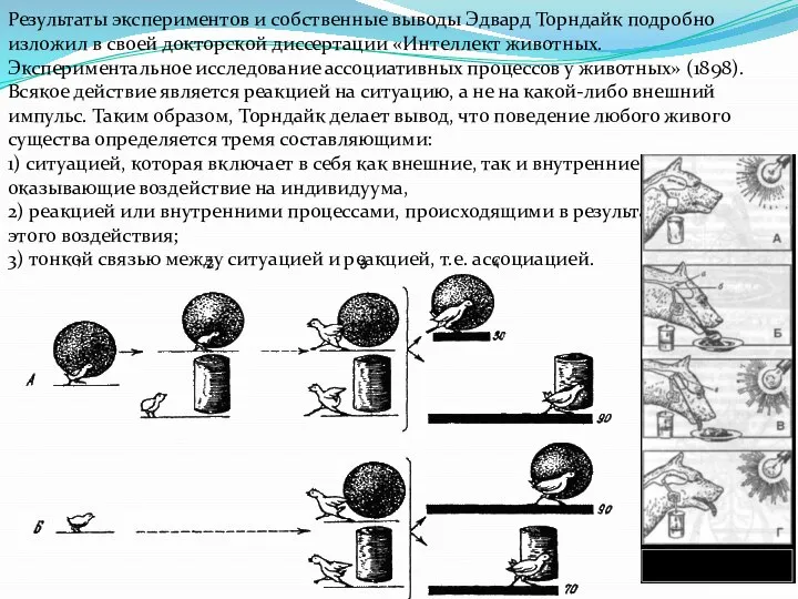 Результаты экспериментов и собственные выводы Эдвард Торндайк подробно изложил в своей докторской