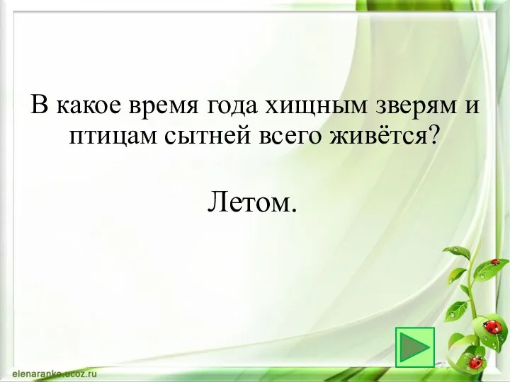 Летом. В какое время года хищным зверям и птицам сытней всего живётся?