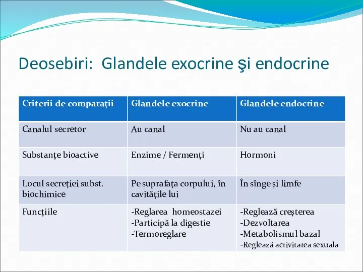 Deosebiri: Glandele exocrine şi endocrine