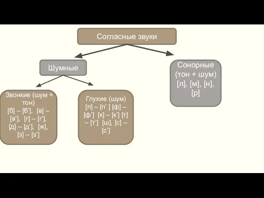 Согласные звуки Шумные Сонорные (тон + шум) [л], [м], [н], [р] Звонкие