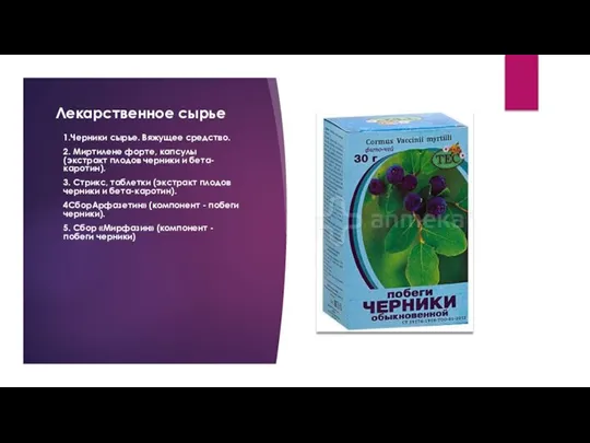 Лекарственное сырье 1.Черники сырье. Вяжущее средство. 2. Миртилене форте, капсулы (экстракт плодов