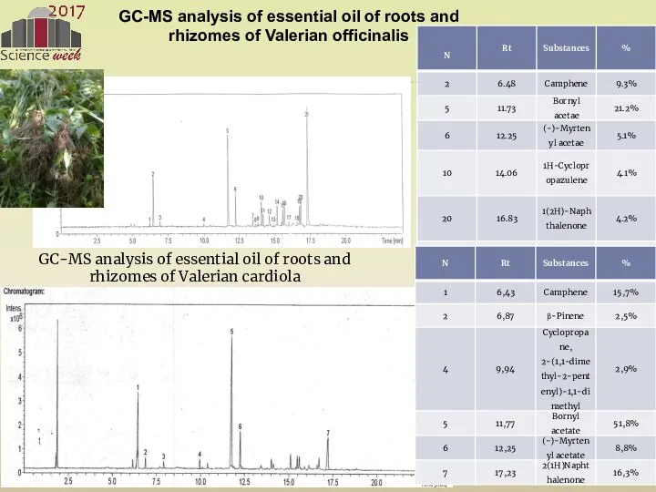 GC-MS analysis of essential oil of roots and rhizomes of Valerian officinalis