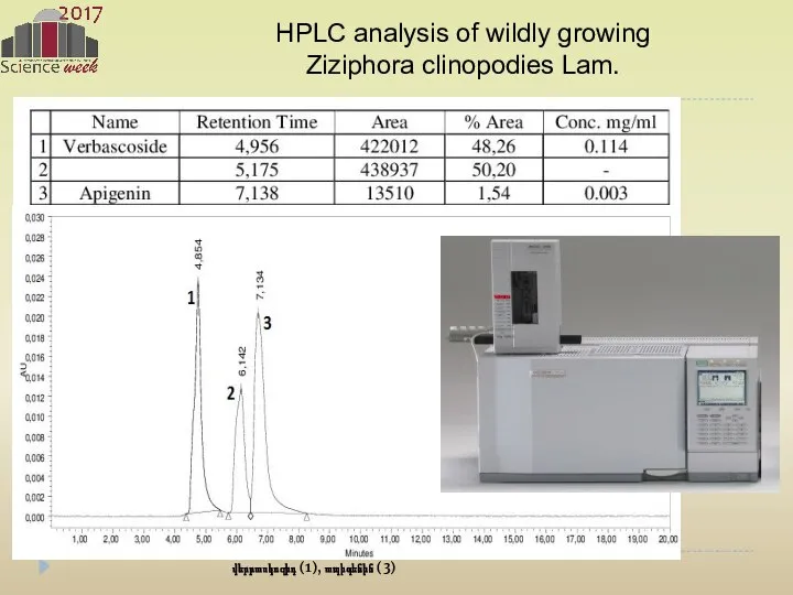 վերբասկոզիդ (1), ապիգենին (3) HPLC analysis of wildly growing Ziziphora clinopodies Lam.