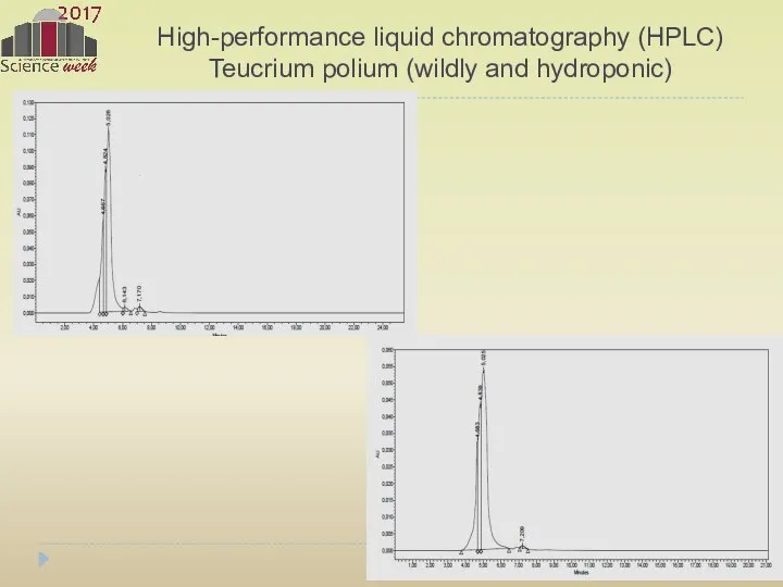 High-performance liquid chromatography (HPLC) Teucrium polium (wildly and hydroponic)