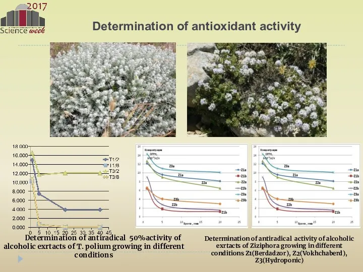 Determination of antioxidant activity Determination of antiradical 50%activity of alcoholic exrtacts of