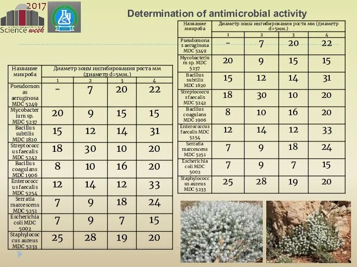 Determination of antimicrobial activity