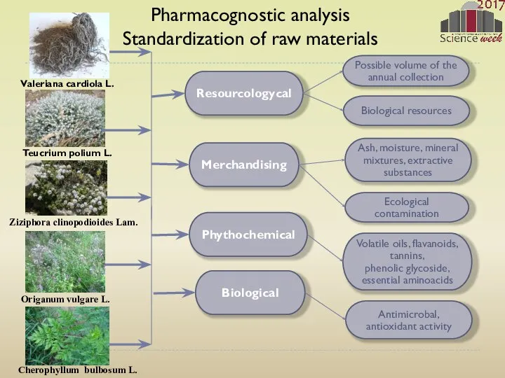 Resourcologycal Possible volume of the annual collection Phythochemical Biological resources Merchandising Biological