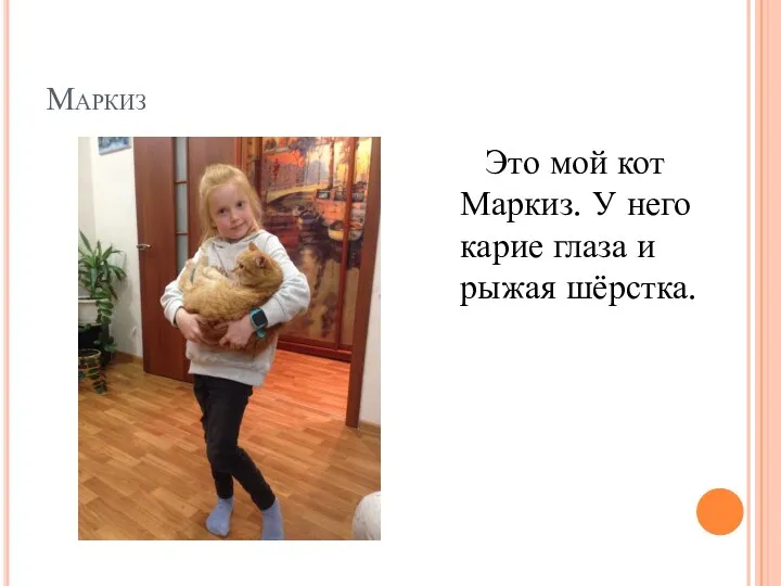 Маркиз Это мой кот Маркиз. У него карие глаза и рыжая шёрстка.