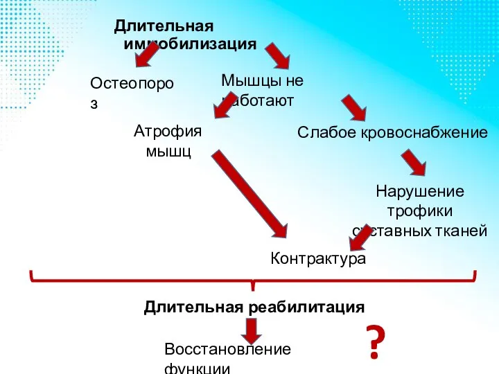 Длительная иммобилизация Мышцы не работают Атрофия мышц Слабое кровоснабжение Остеопороз Нарушение трофики